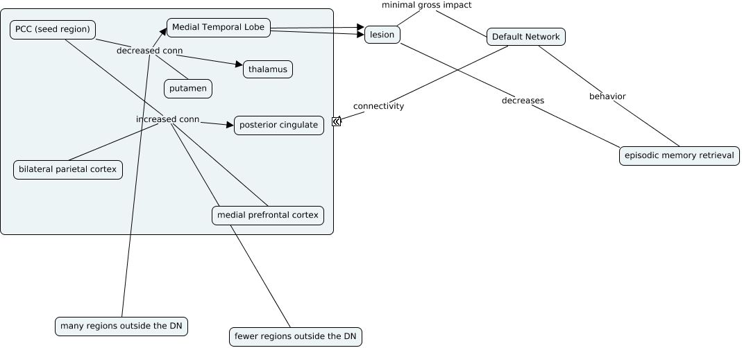 Default_Network_Connectivity_in_Medial_Temporal_Lobe_Amnesia.html